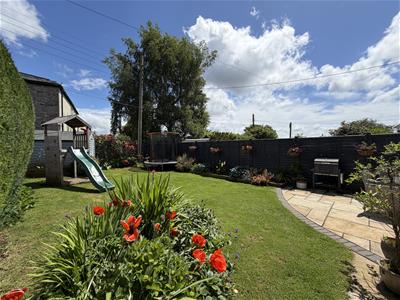 Picture 25